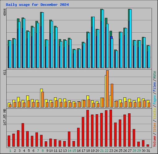 Daily usage for December 2024