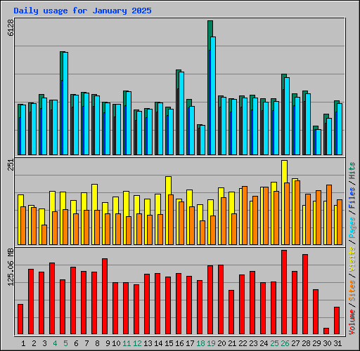 Daily usage for January 2025