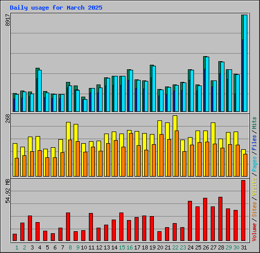 Daily usage for March 2025