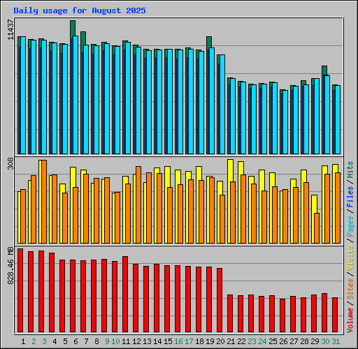 Daily usage for August 2025