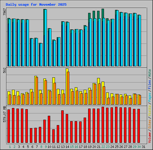 Daily usage for November 2025