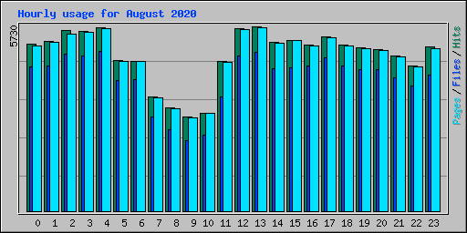 Hourly usage for August 2020