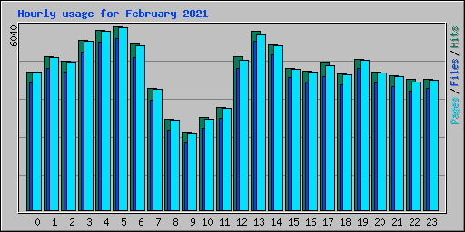 Hourly usage for February 2021
