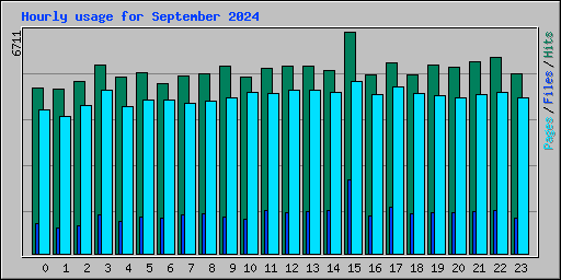 Hourly usage for September 2024