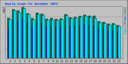 Hourly usage for December 2024