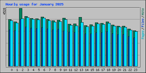 Hourly usage for January 2025