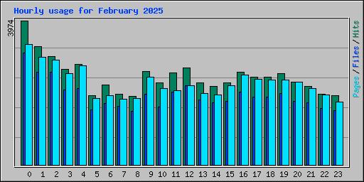 Hourly usage for February 2025