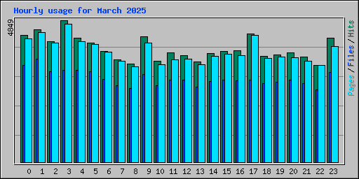 Hourly usage for March 2025