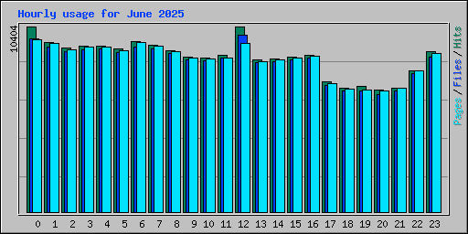Hourly usage for June 2025