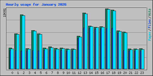 Hourly usage for January 2026