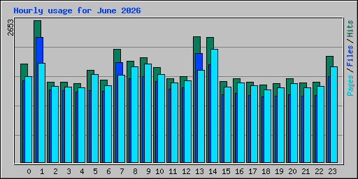 Hourly usage for June 2026