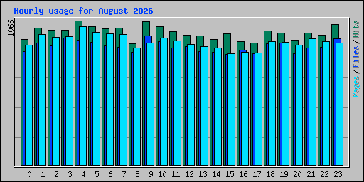 Hourly usage for August 2026
