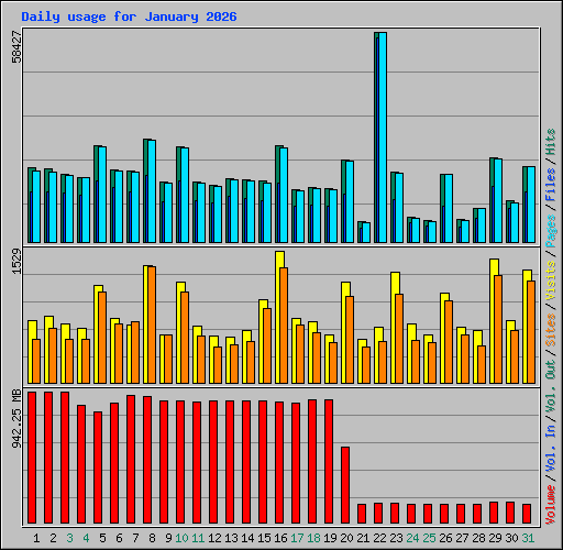 Daily usage for January 2026