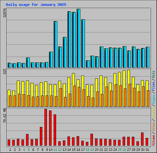 Daily usage for January 2025