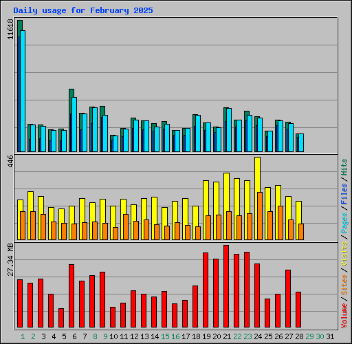 Daily usage for February 2025