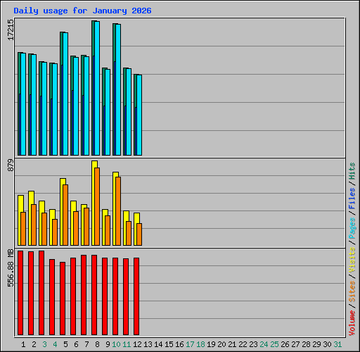 Daily usage for January 2026