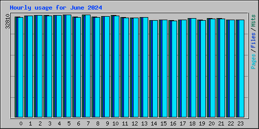 Hourly usage for June 2024