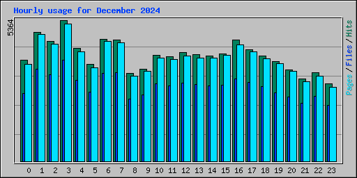 Hourly usage for December 2024