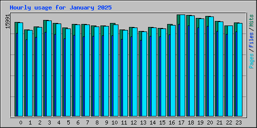 Hourly usage for January 2025