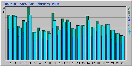 Hourly usage for February 2025