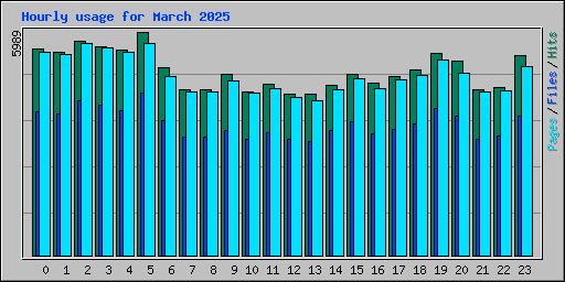Hourly usage for March 2025