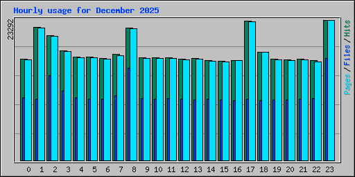 Hourly usage for December 2025