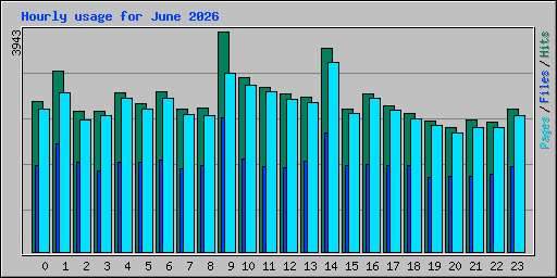 Hourly usage for June 2026
