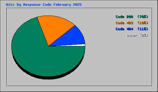Hits by Response Code February 2025