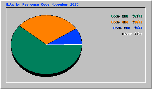 Hits by Response Code November 2025