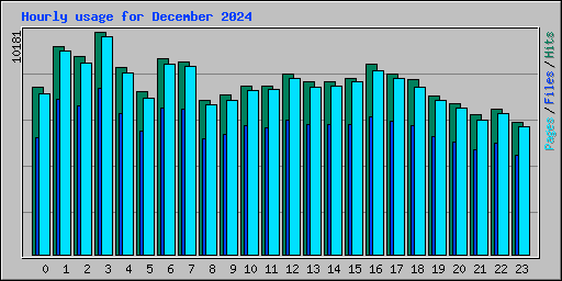 Hourly usage for December 2024
