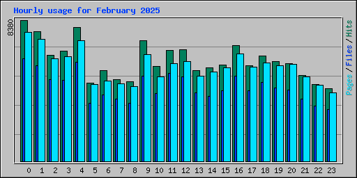 Hourly usage for February 2025