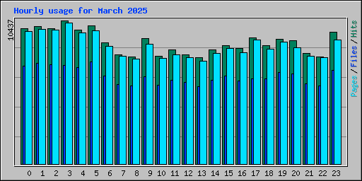 Hourly usage for March 2025