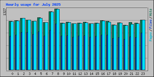 Hourly usage for July 2025