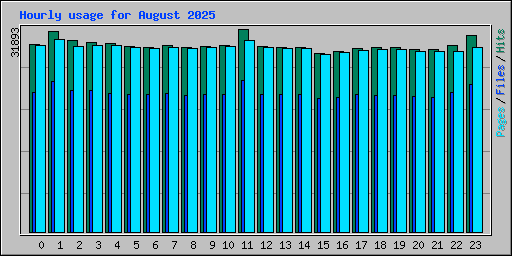 Hourly usage for August 2025