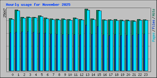 Hourly usage for November 2025
