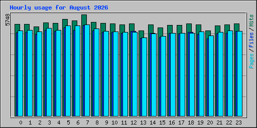 Hourly usage for August 2026