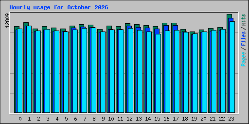 Hourly usage for October 2026