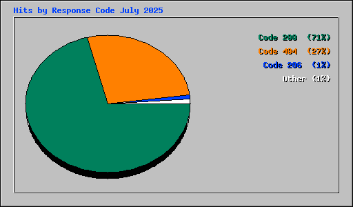 Hits by Response Code July 2025