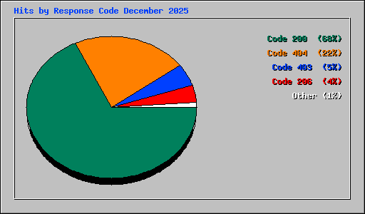 Hits by Response Code December 2025